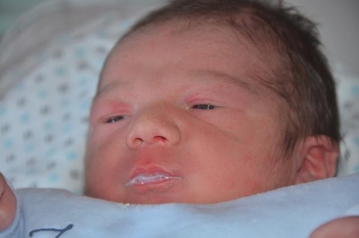 bebe paul 2106155