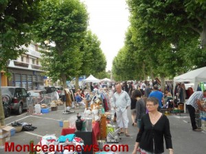 Hirondelles Sportives (Montceau-les-Mines)