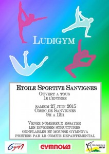 Etoile Sportive de Sanvignes (Gym)