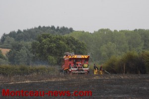 Feu de broussailles aux Bizots ..