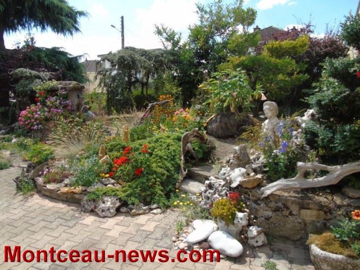fleurs mont 24071510