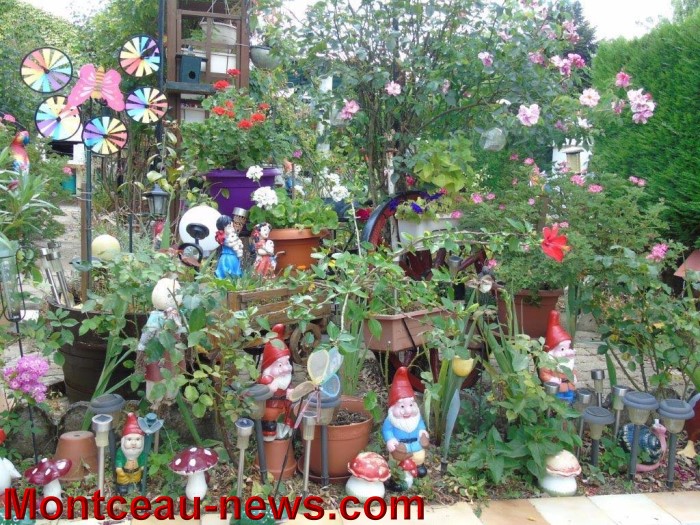 fleurs mont 24071521