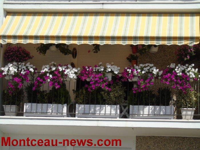 fleurs mont 24071526