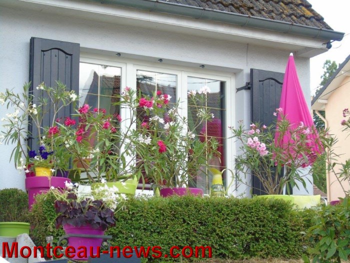 fleurs mont 24071541