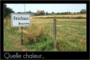 Un cadeau de Bernard…..