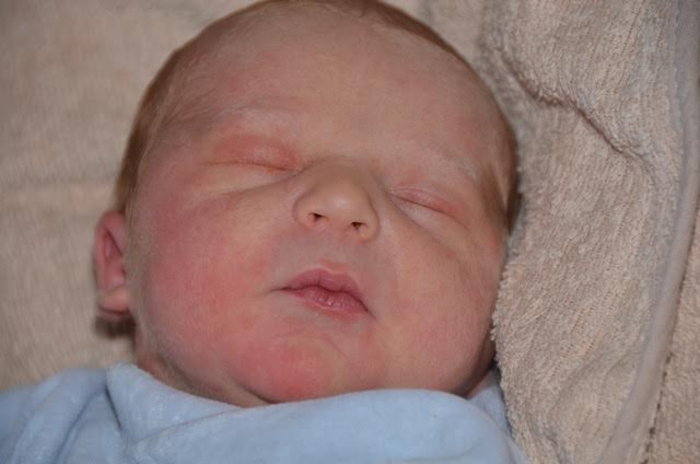 bebe raphael 1808152