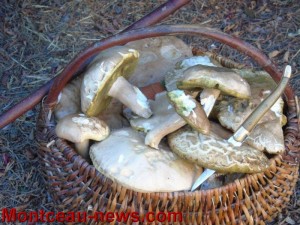 Bassin Minier