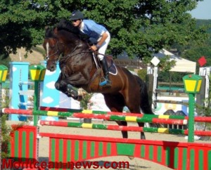 Ecurie de l’Enclos (Blanzy)