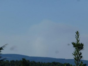 Feu de forêt à La Grande-Verrière (Faits divers)