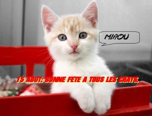 Nos lecteurs sont sympas !