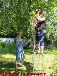 Des pommes, des poires… les Ecureuils sont preneurs !