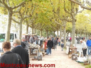 Brocante du judo club au Plessis