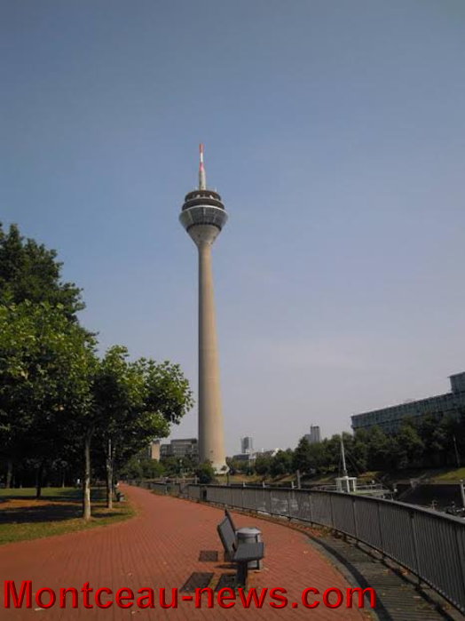 nell 06091539