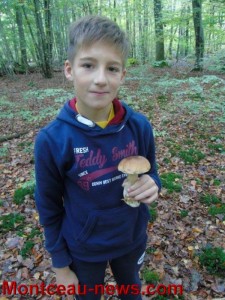 Champignons