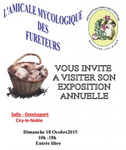 RAPPEL : Association « Les fureteurs » (Ciry-le-Noble)