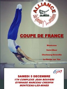 Alliance Elan Gyminque/Montcellienne (Montceau-les-Mines
