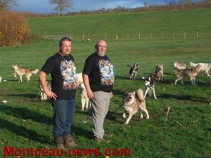 22 Huskys à la base de Loisirs (les Bizots)