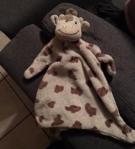 SOS Doudou !!!!