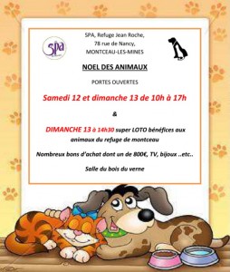 SPA – refuge Jean Roche (Montceau-les-Mines)