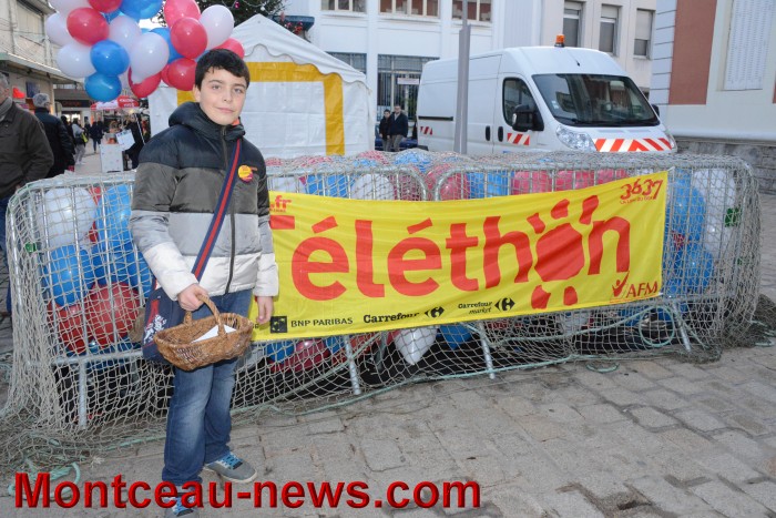 m telethon 06121526