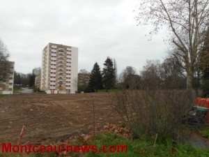 « Green washing » de Salengro