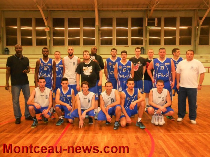 basket 3101162