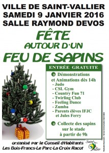 La fête autour du feu de sapins (Saint-vallier)
