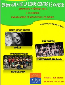 29ème Gala de La Ligue contre le cancer du Bassin Minier