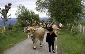 Fête de la transhumance (Aubrac)