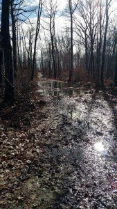 Inondations dans le bassin minier….
