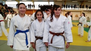 Alliance Dojo 71 (judo)