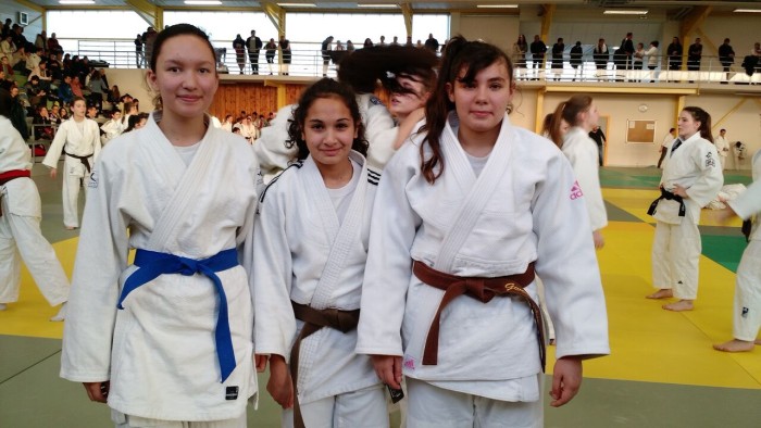 judo mont 11021610