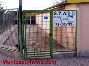 SPA – refuge Jean Roche (Montceau-les-Mines)