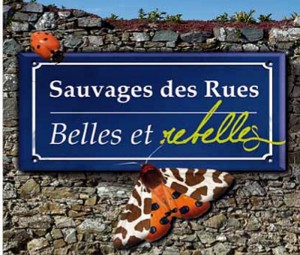 Exposition « Sauvages des rues, belles et rebelles » (Blanzy)