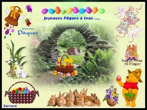Nos lecteurs…. (ter)