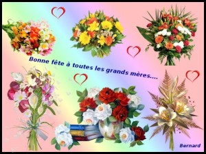 Un cadeau de Bernard…..