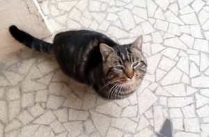Trouvé à Blanzy