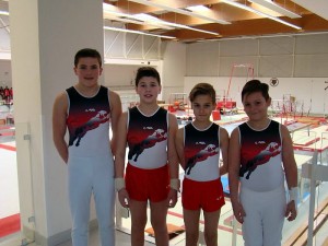 CSL Gymnastique (Saint-Vallier)