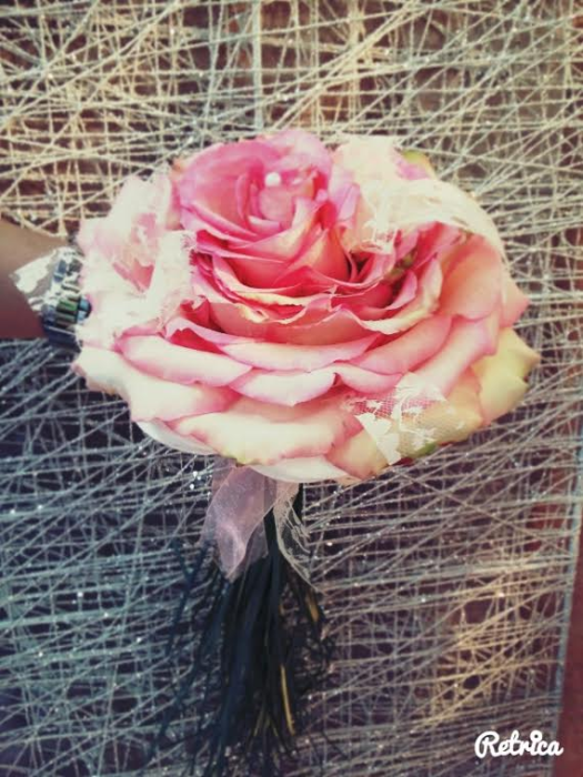 fleurs magali 2703165