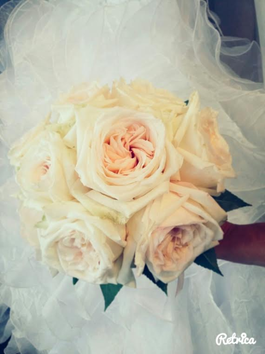 fleurs magali 2703166