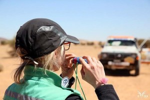 « Les Gazelles déboussolées » (Aventure)