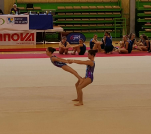 Etoile Sportive de Sanvignes (Gym)