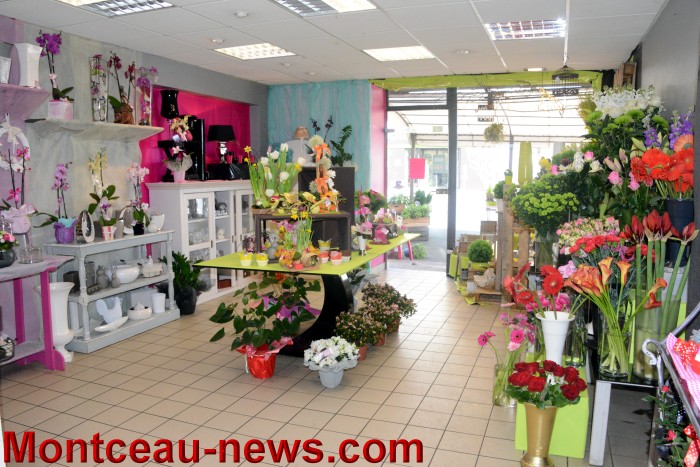 magali angel 2703164