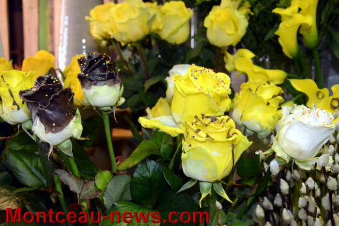 magali angel 2703167