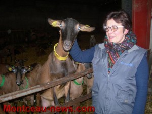 Le service de remplacement chez les agricultrices et les agriculteurs
