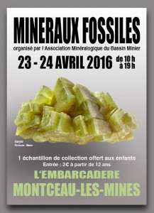 Association de minéralogie du Bassin Minier (Sortir)