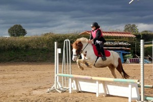 Concours du centre équestre du Chêne Vert (Saint-Eusèbe)