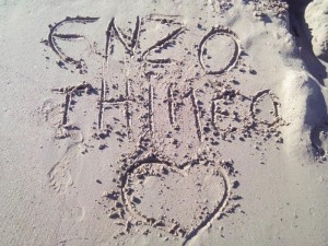« Association Enzo et Thiméo » (Blanzy) : Tournoi FUTSAL ce samedi après midi au cosec des Rompois
