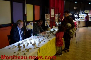 25ème bourse minéralogique, salle Bourdelle (Montceau)
