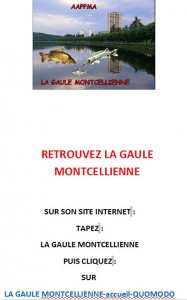 Gaule Montcellienne